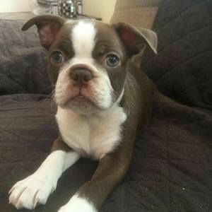 Meet your Posher, Gloria